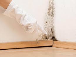 Best Mold Remediation for Healthcare Facilities  in Benton, IL